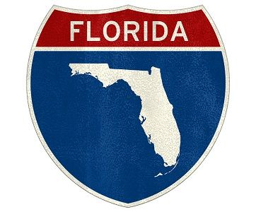 The Biggest IDNs in Florida