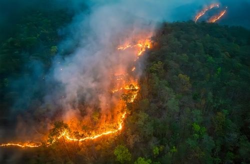 3 Ways the LA Wildfires Are Affecting Hospitals